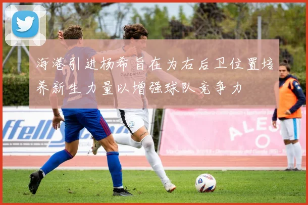 海港引进杨希旨在为右后卫位置培养新生力量以增强球队竞争力
