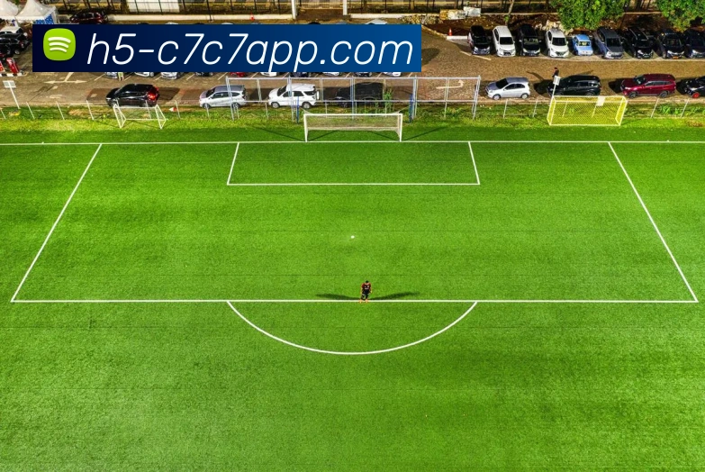 C7C7娱乐平台生态图